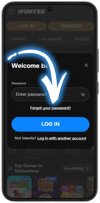 MrPunter forgot password