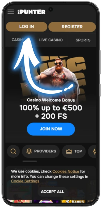 Mrpunter mane page